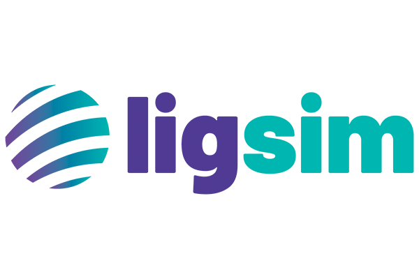 LIGSIM